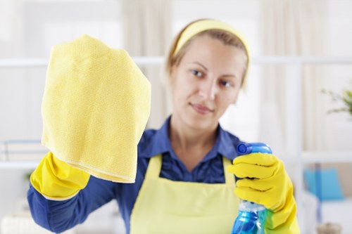 Upholstery pet stain odour removal service in Cranham