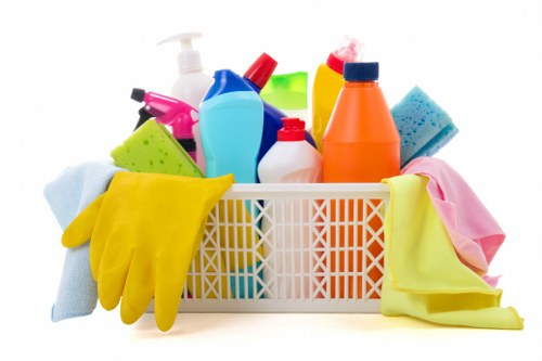 Carpet cleaning appointment preparation and service terms