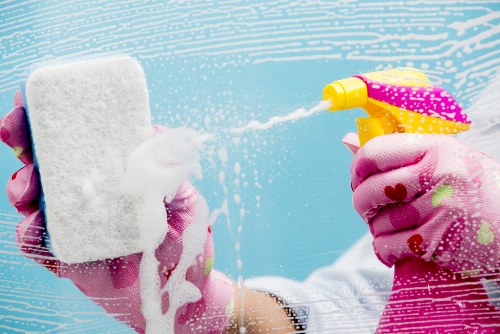 Allergy-friendly steam carpet cleaning in Cranham