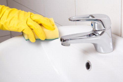 Carpet cleaner carrying out a safe cleaning inspection in a home