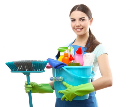 Protected carpet cleaning payment page with encrypted checkout