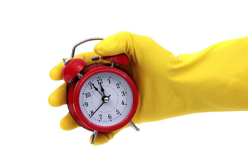 carpet cleaners regular cleaning